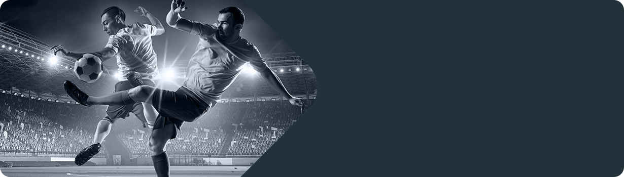 sudoku jigsaw puzzle
